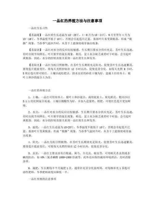 一品红的养殖方法与注意事项