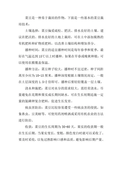 菜豆栽培技术