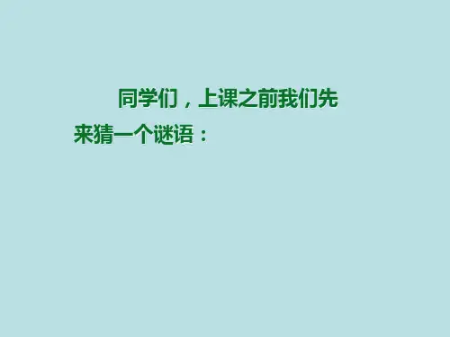 《我的家》公开课课件PPT