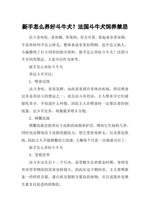 新手怎么养好斗牛犬？法国斗牛犬饲养禁忌