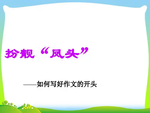 如何写好作文的开头ppt课件