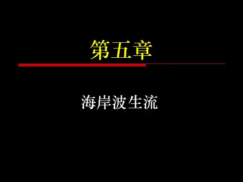第5章 海岸波生流(4版)