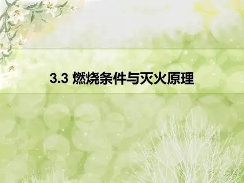 燃烧条件与灭火原理