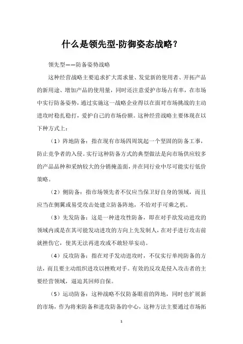 什么是领先型-防御姿态战略？