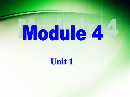 外研版九年级下册(新)Module4 Unit1课件