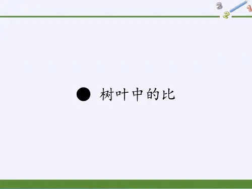 六年级数学上册课件-树叶中的比(共14张PPT)