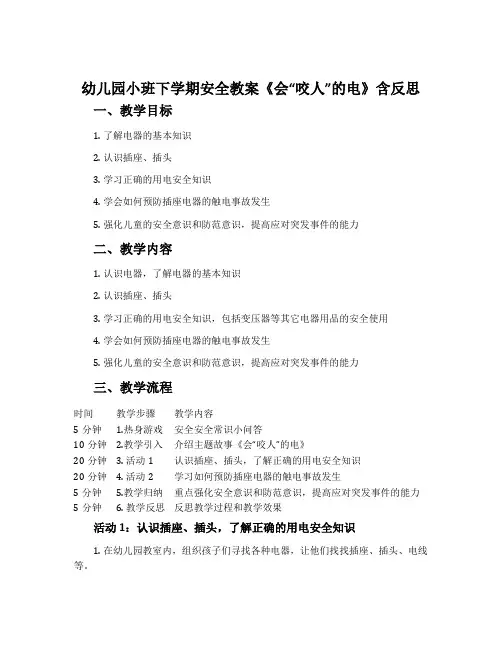 幼儿园小班下学期安全教案《会“咬人”的电》含反思