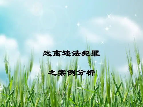 远离违法犯罪之案例分析幻灯片PPT