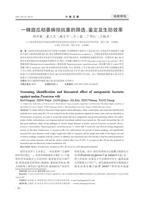 一株甜瓜枯萎病拮抗菌的筛选、鉴定及生防效果