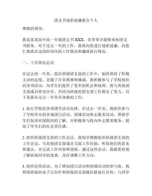 团支书述职述廉报告个人