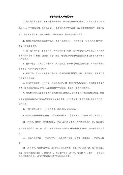 形容冬天寒风呼啸的句子