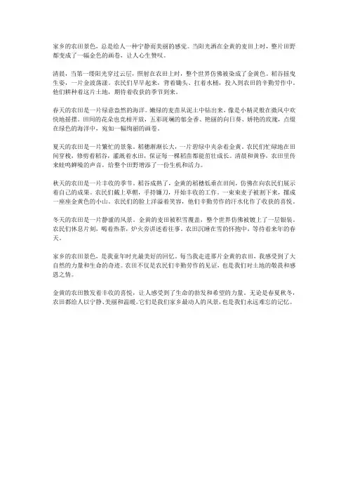 家乡农田景色,金黄一片