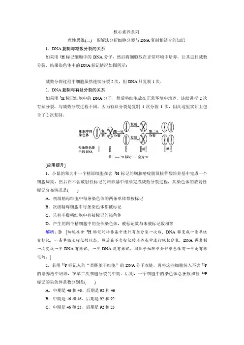第六单元 核心素养系列 理性思维(二) 图解法分析细胞分裂与DNA复制相结合的知识