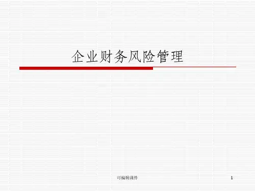 企业财务风险管理完整ppt课件