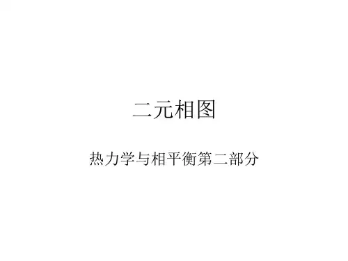 材料物理化学二元相图讲解