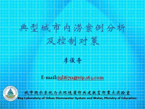 _典型城市内涝案例分析及控制对策(26页,附图丰富)