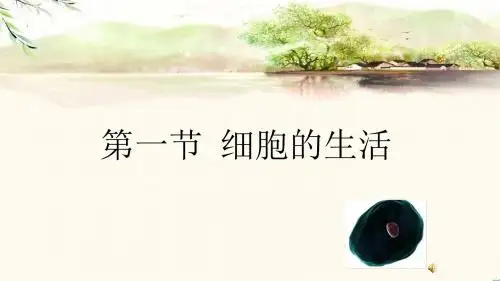 鲁教版五四制六年级生物上第二单元第二章第一节 细胞的生活教学课件