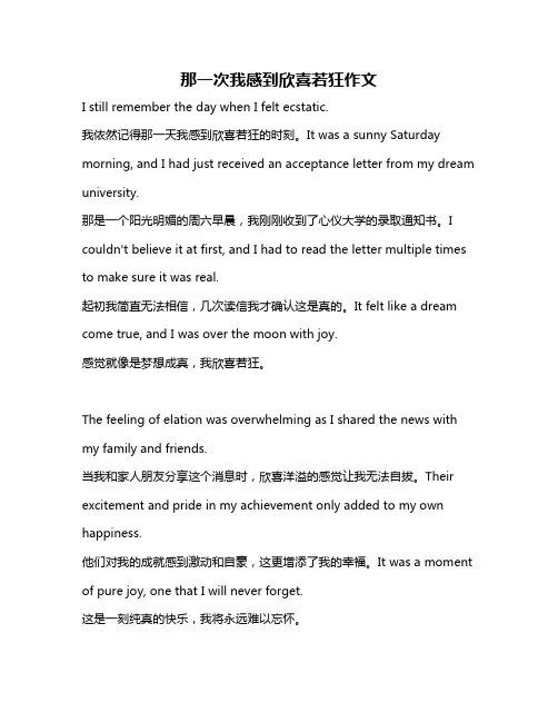 那一次我感到欣喜若狂作文