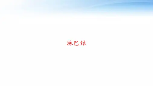 淋巴结 ppt课件