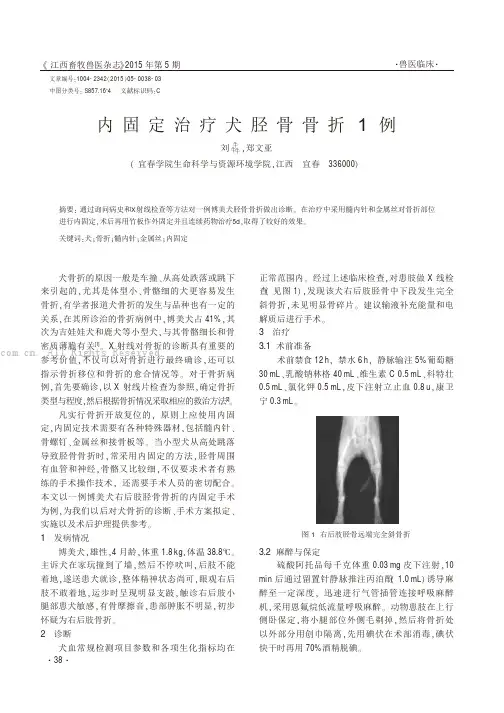 内固定治疗犬胫骨骨折1例