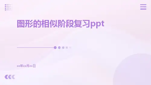 图形的相似阶段复习ppt