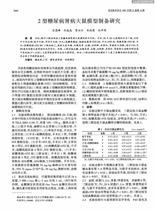 2型糖尿病肾病大鼠模型制备研究