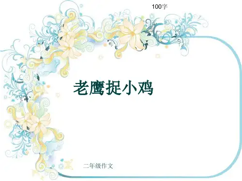 小学二年级作文《老鹰捉小鸡》100字(共5页PPT)