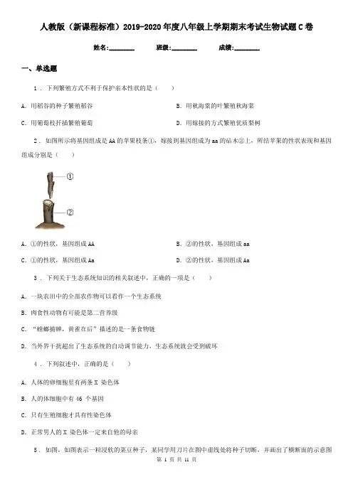 人教版(新课程标准)2019-2020年度八年级上学期期末考试生物试题C卷