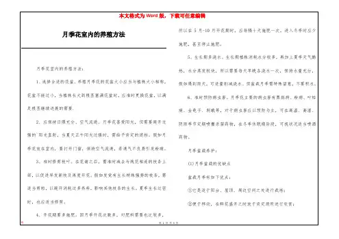 月季花室内的养殖方法