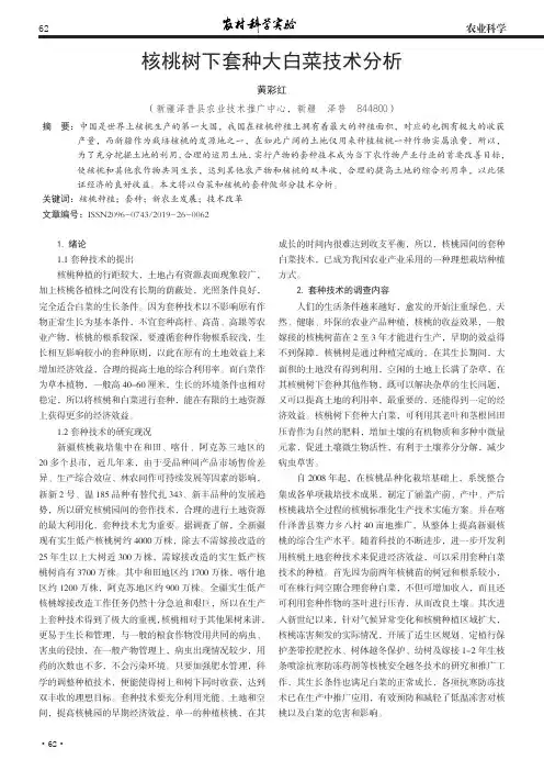 核桃树下套种大白菜技术分析