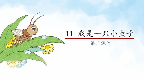 二年级语文下册11.我是一只小虫子课件(共17张PPT)