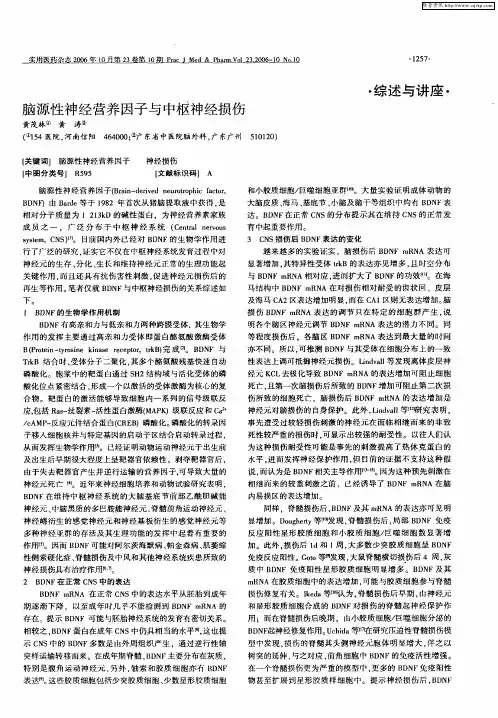 脑源性神经营养因子与中枢神经损伤