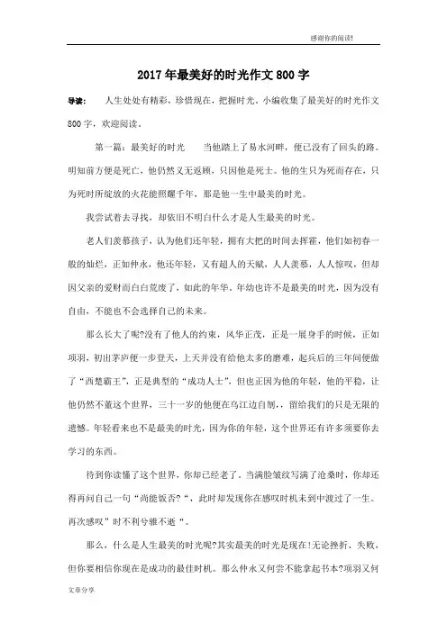 2017年最美好的时光作文800字