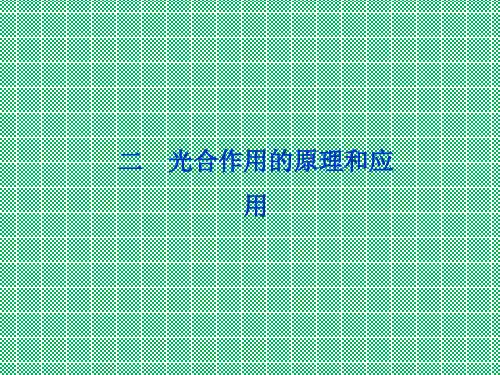 人教版生物《优化方案》必修1课件第5章第4节二