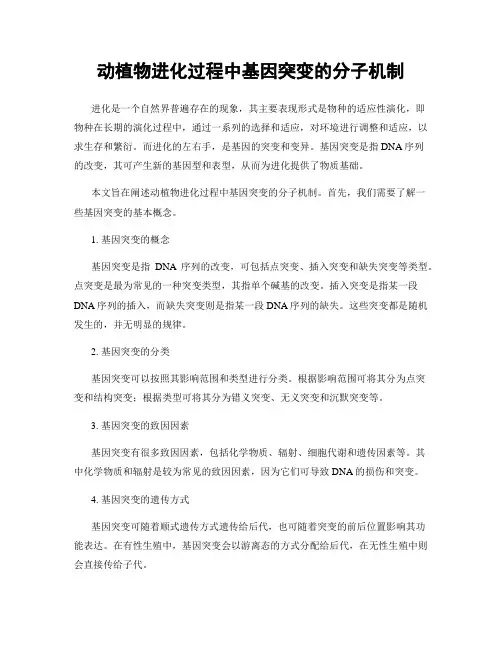 动植物进化过程中基因突变的分子机制