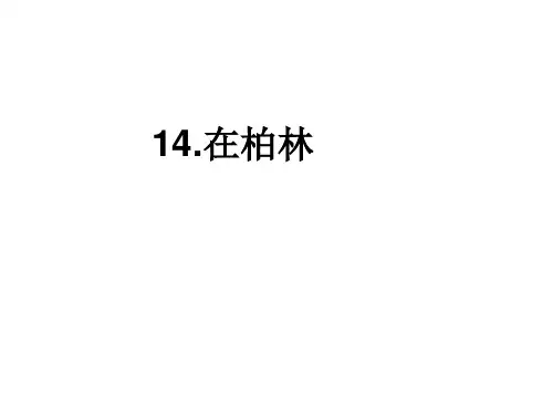 人教部编版六年级语文上册课件：14在柏林(共9张ppt)(推荐下载课件)