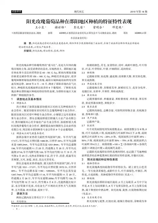 阳光玫瑰葡萄品种在邵阳地区种植的特征特性表现