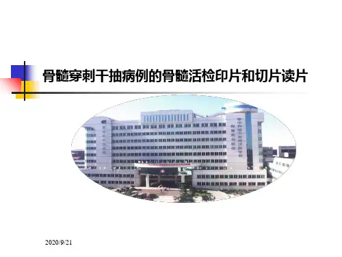 骨髓穿刺干抽病例的骨髓活检印片和切片读片PPT课件