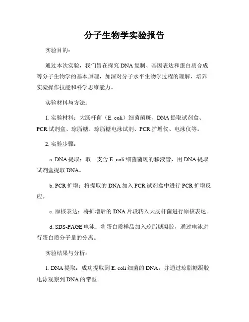 分子生物学实验报告