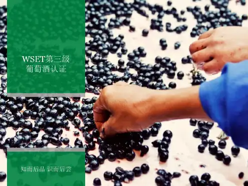WSET英国葡萄酒与烈酒专业课程培训-3-2022年学习资料