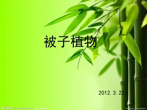 园林植物识别(较全)