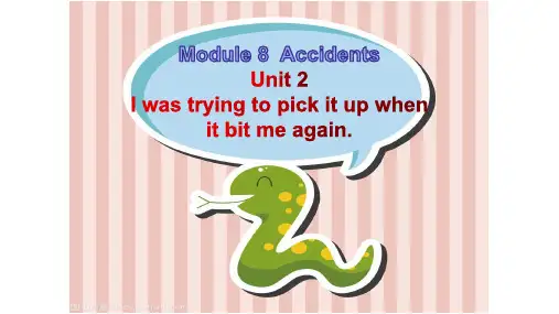 外研版初二英语上册Module 8  Accidents Unit 2 .课件