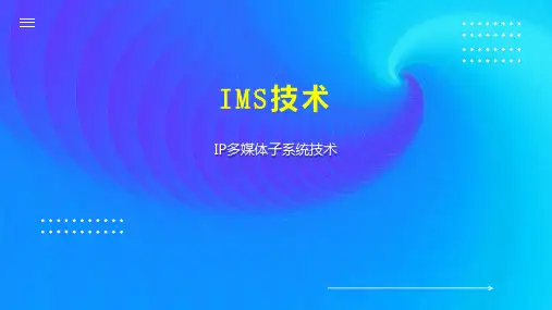 IMS技术 