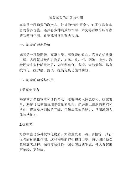 海参海参的功效与作用