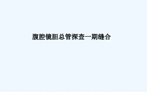胆总管一期缝合 PPT