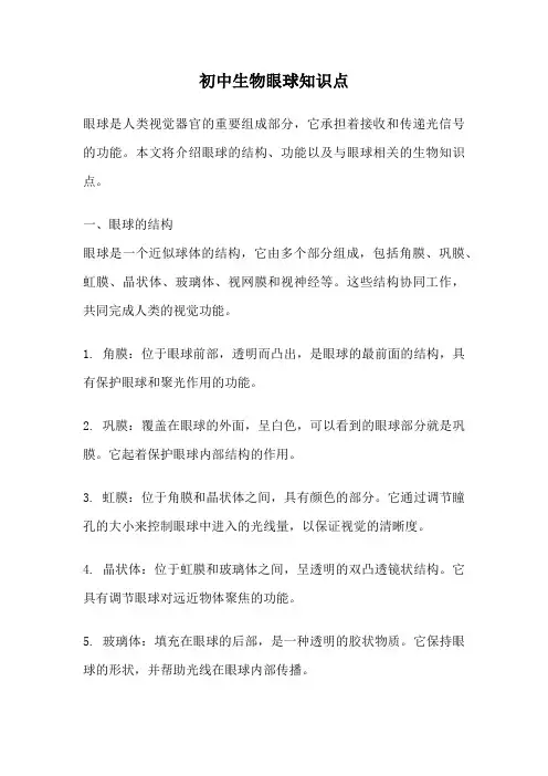 初中生物眼球知识点