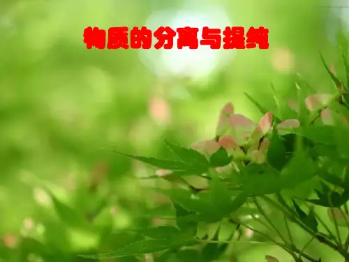 【大一轮复习讲义】(人教版化学)新高考总复习课件·物质的检验、分离和提纯