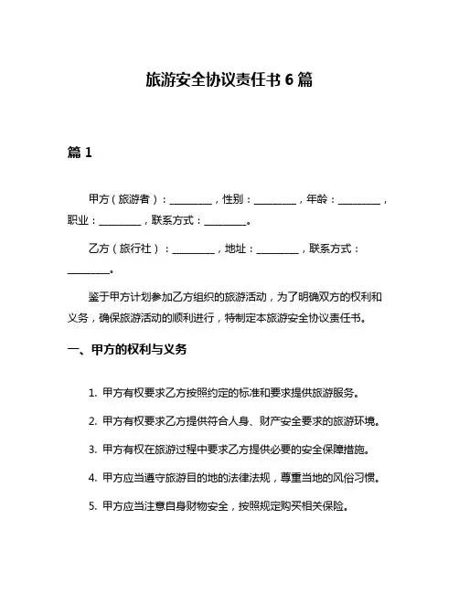 旅游安全协议责任书6篇