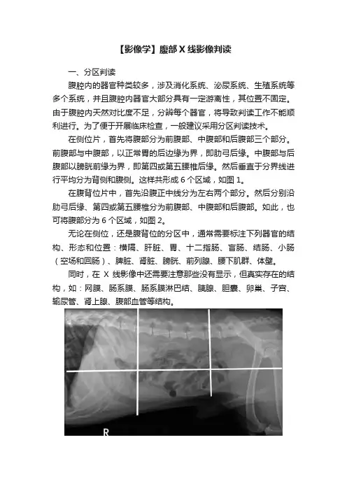 【影像学】腹部X线影像判读