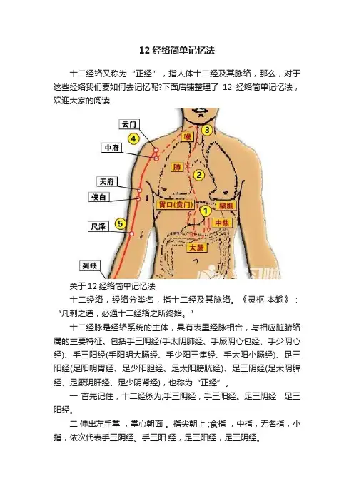 12经络简单记忆法